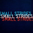 Umphrey\'s McGee - Small Strides (Original Mix)