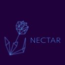 Light of Departure - Nectar (Original Mix)