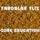 Yaroslav Yliz - Cork Education