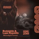 Bodaishin & Lupe Republic - Moonlight Forest (Ilias Katelanos Remix)