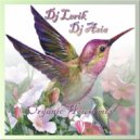 Dj Lerik & Dj Asia - Organic House mix