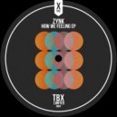 ZYNK - Funky One (Original Mix)