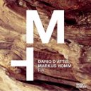 Dario D'Attis, Markus Homm - Fia