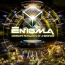 Enigma (PSY) - Network (Original Mix)
