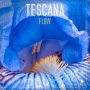 Tescana - Higher (Radio Edit)