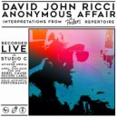 David John Ricci - Anonymous Affair