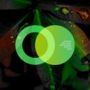 Anartist, Lian Gold, Erika Krall, Martin Magal - Amal