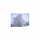 Mindfulness Healing Sleep BGM Project - jewelry and Rhythm (Sleep BGM)
