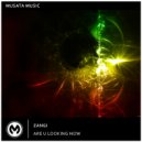 ZANGI - Are U Looking Now (Radio Edit)