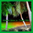 Dj Lerik & Dj Asia - Melodic House & Techno Mix (Mix)