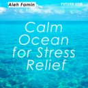 Aleh Famin - Calm Ocean for Stress Relief