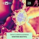 Tekout & Sarah B Ladybnow - Something Beautiful (Radio Edit)