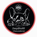 DeepBhoRR - Soundoscope
