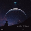 Flight of the Falcon - Secret Space (Original Mix)