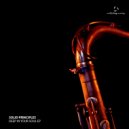 Solid Principles - Shundown (Original Mix)