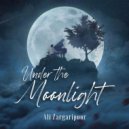 Ali Zargaripoor - Under the Moonlight