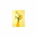 Mindfulness Healing Sleep BGM Project - Archimedes and Hearing (Sleep BGM)