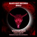 Vaessar303 - Endless Light