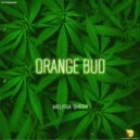 Melissa Queen - Orange Bud