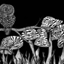 Levitation Jones & G-Space - Aerial Messengers