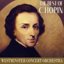 Westminster Concert Orchestra - Grande fantaisie sur des airs polonais, Op.13