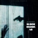 Biomatrix - Block Brawl 48