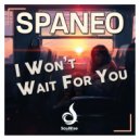 Spaneo - I Won't Wait For You