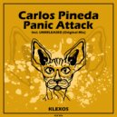Carlos Pineda - UNRELEASED (Original Mix)