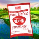 True Justice - Feeling High