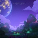 cxlt. & Nuver - Rays Of Light