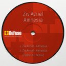 Ziv Avriel - Amnesia