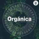 Jack Essek, El Sonido Project - Krangalis