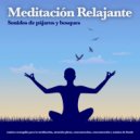 Meditaciónessa & Musica Relajante & Música de Meditación - Música para yoga - Enfoque y concentración y sonidos de aves