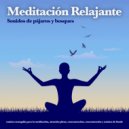 Meditaciónessa & Musica Relajante & Música de Meditación - Música Spa ()