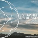 Joulez - Soar Like a Blue Bird (Original Mix)
