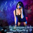 DJ Retriv - Big Progressive Electro House Megamix ep. 12 ()