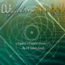 DJ Adam Jundi - Organic Oriantal House ()