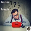 Nash Cedar - Waiting For (Radio Mix)