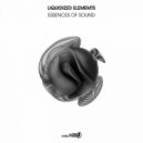 Liquidized Elements - Essences of Sound (Extended Mix)