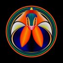 SNYL - Ego Tripping