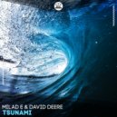 Milad E & David Deere - Tsunami