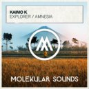 Kaimo K - Explorer (Extended Mix)