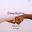 Tecknoom - Is Trust (Original mix)