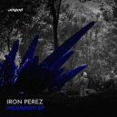 Iron perez - Abstract Experience