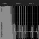 reciprocal companion - 10