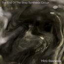 Hiro Ikezawa - The End Of The Stray Synthesis Circuit