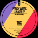 Perky Wires - No More Fears