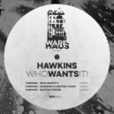 Hawkins - Maximum Planetary Audio (Original Mix)