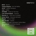 Tommy Disgrace - Into The Nether (Original Mix)