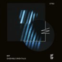 Icy - Cosmic Riq